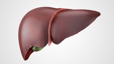 How HGH Can Repair The Liver?