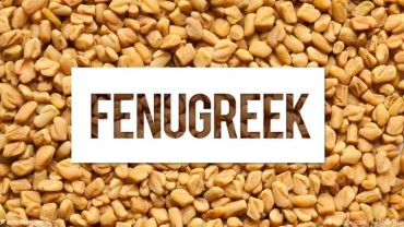 Does Fenugreek Increase Testosterone Levels?