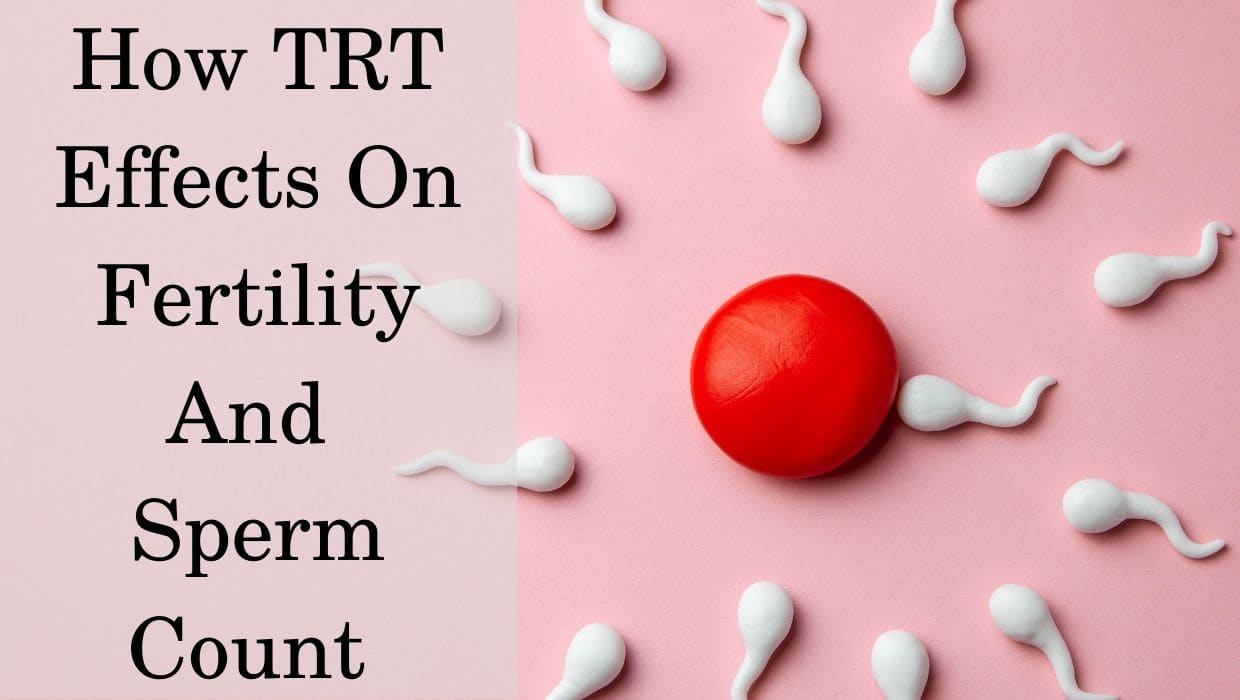 TRT Effects on Fertility and Sperm Count HRTGuru