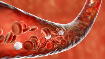The Length Of Time HGH Remains In The System