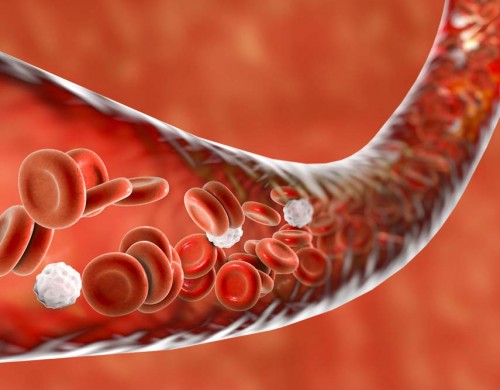 The Length Of Time HGH Remains In The System