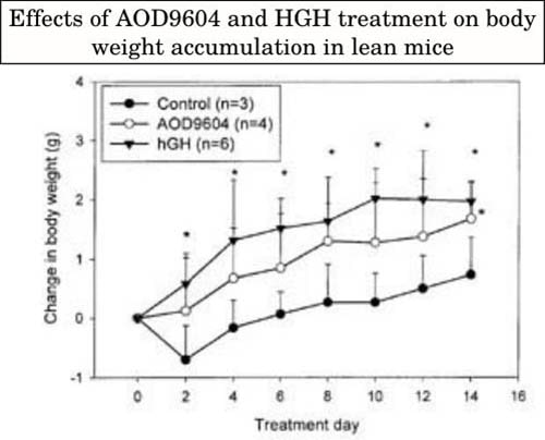 Effects of AOD9604 and HGH in lean mice