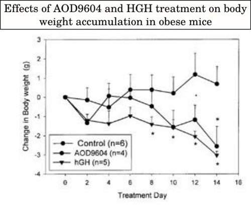 Effects of AOD9604 and HGH in lean mice