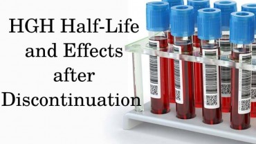 HGH Half-Life and Effects after DiscontinuationHGH Half-Life and Effects after Discontinuation