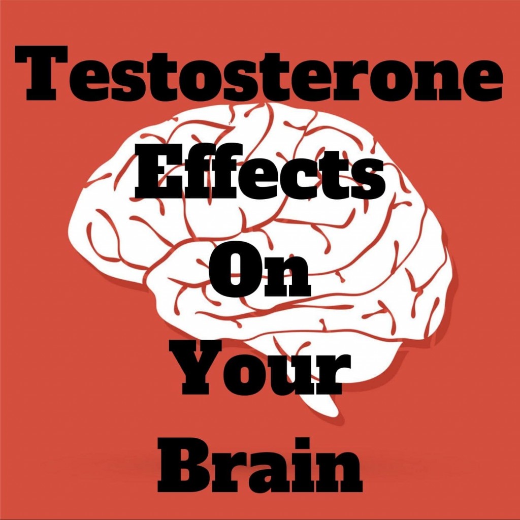 Does Testosterone Cause Aggression? HRTGuru corp.