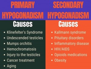 Primary and secondary hypogonadism causes