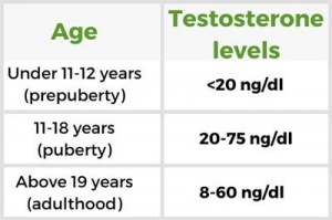 Normal testosterone levels in women by age