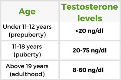 Testosterone in Females: What Are Normal Levels and Functions? | HRTGuru