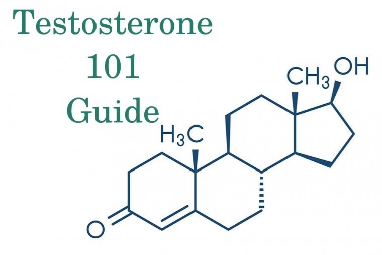 Testosterone 101 Everything You Need To Know About TRT HRTGuru Clinic