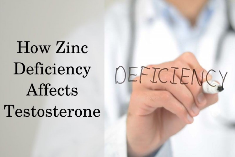 How Important Zinc Is For Testosterone Hrtguru 4312