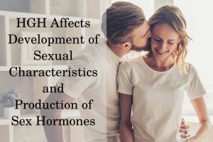 HGH Affects the Development of Sexual Characteristics and the Production of Sex Hormones