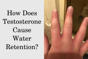 How does testosterone cause water retention?