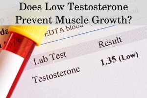 Does low testosterone prevent muscle growth?