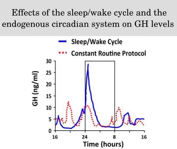 Effects of the sleep/wake cycle and the endogenous circadian system on GH levels 
