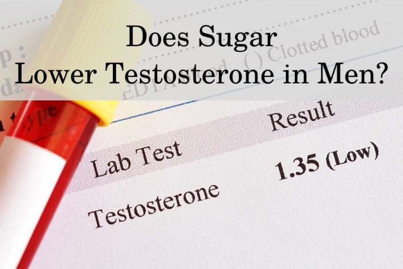 How Much Can Sugar Lower Your Testosterone? HRTGuru